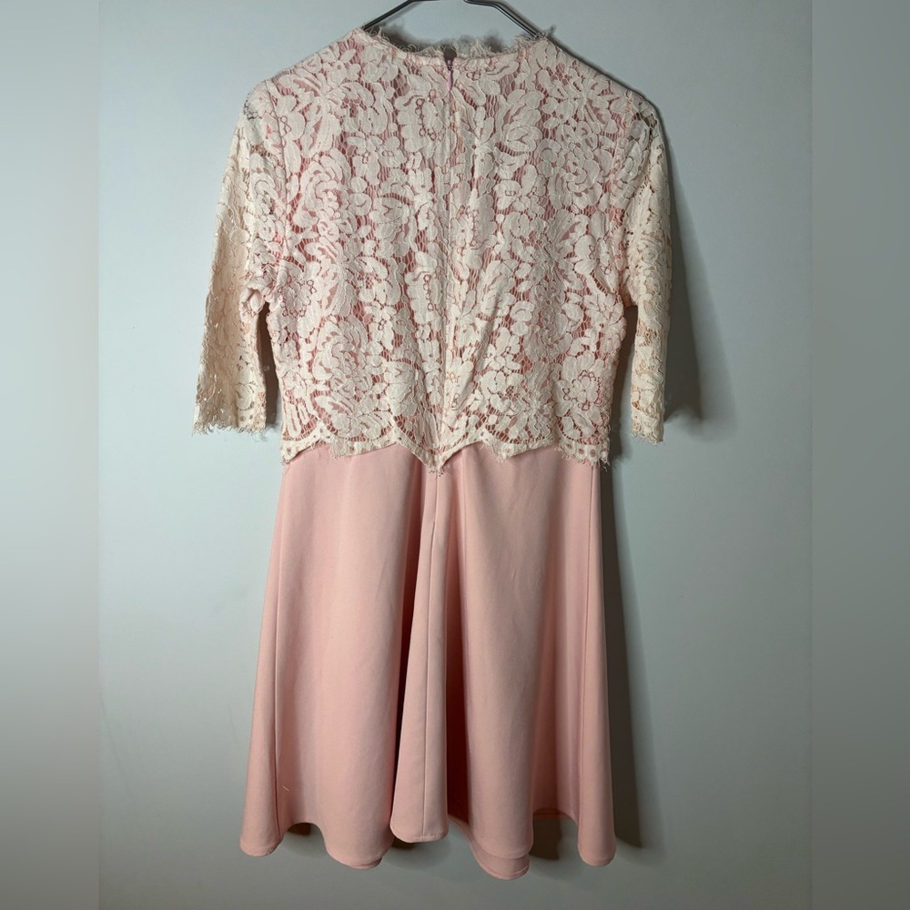 Burberry Brit Pink and Lace Dress - Picture 4 of 4